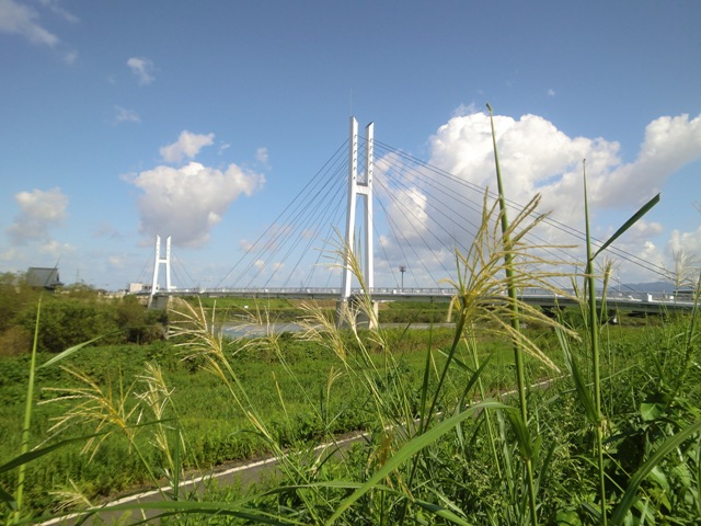 e0085772_1650446.jpg