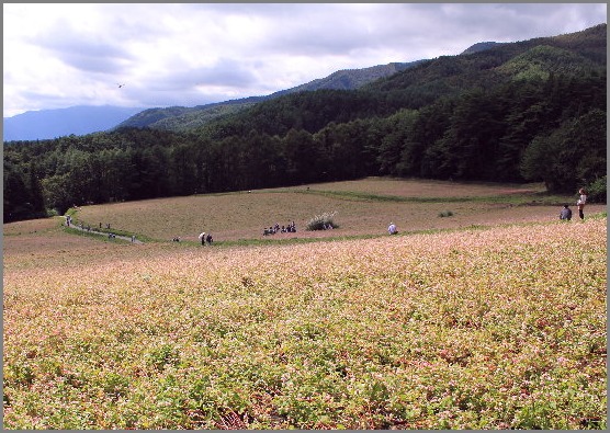 f0181173_18194844.jpg