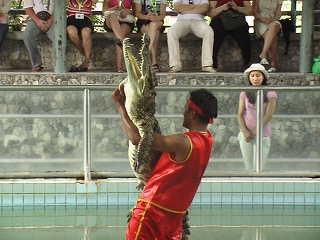 d0144077_4103118.jpg