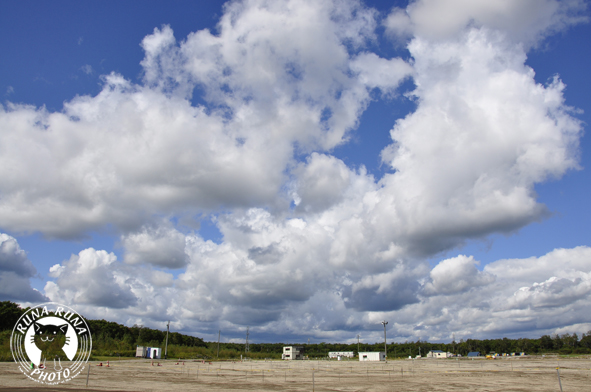 f0210380_22522745.jpg
