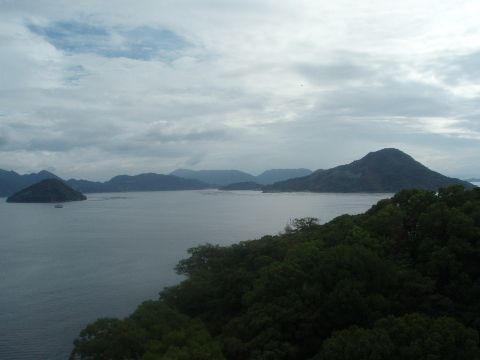 d0098183_924575.jpg