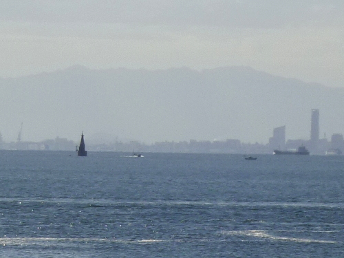 d0179983_20142265.jpg