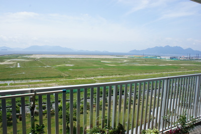 d0160488_12162681.jpg