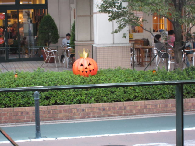 d0098295_22141272.jpg