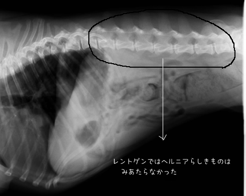 b0134197_0131272.jpg