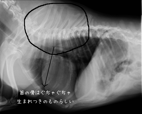 b0134197_0225547.jpg