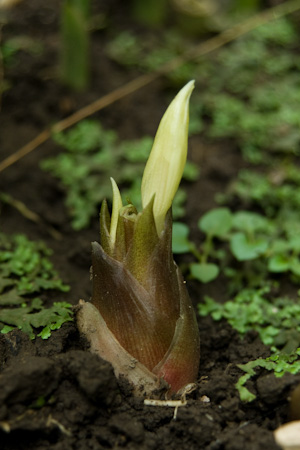 f0239100_21442989.jpg