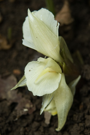 f0239100_21454749.jpg