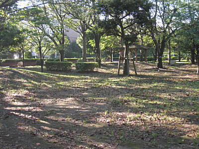 d0046702_6201218.jpg