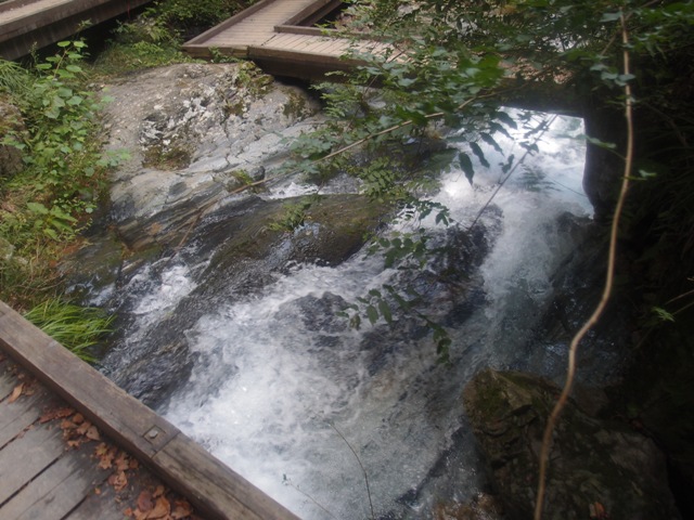 e0018604_19395098.jpg