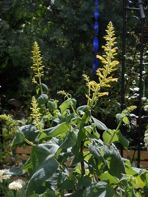 c0117007_20565981.jpg