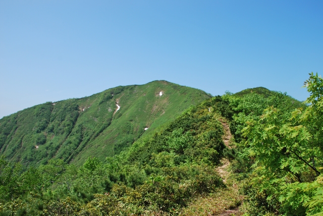d0051707_10144418.jpg