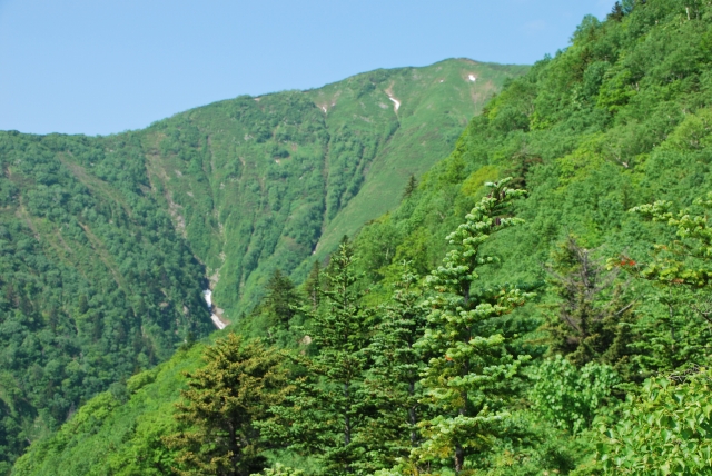 d0051707_10144456.jpg