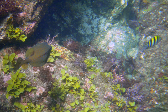 a0008508_19581470.jpg