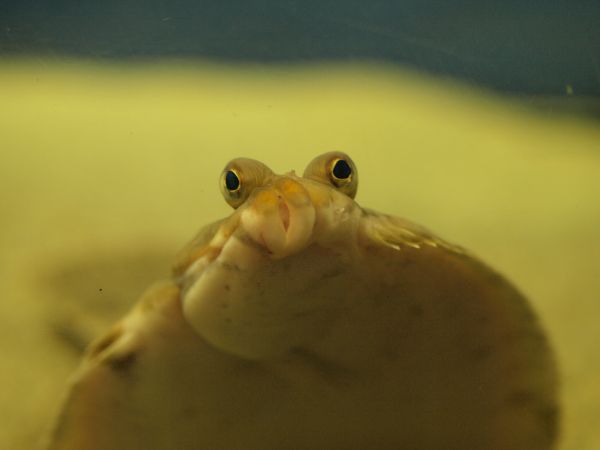 c0164709_7171050.jpg