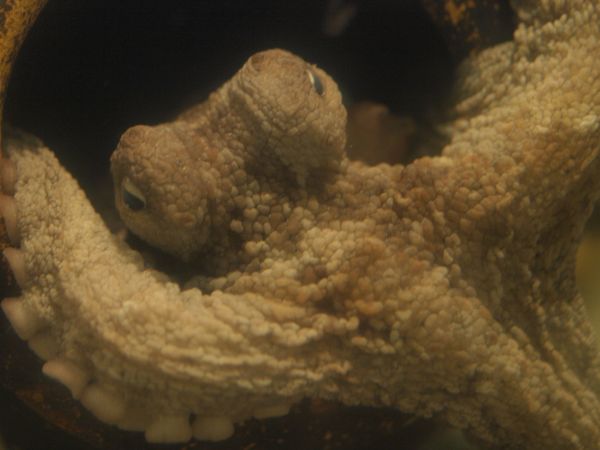 c0164709_7211411.jpg
