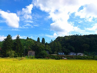 f0100911_20165435.jpg