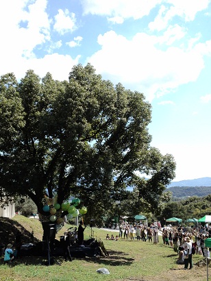 c0146714_1432343.jpg
