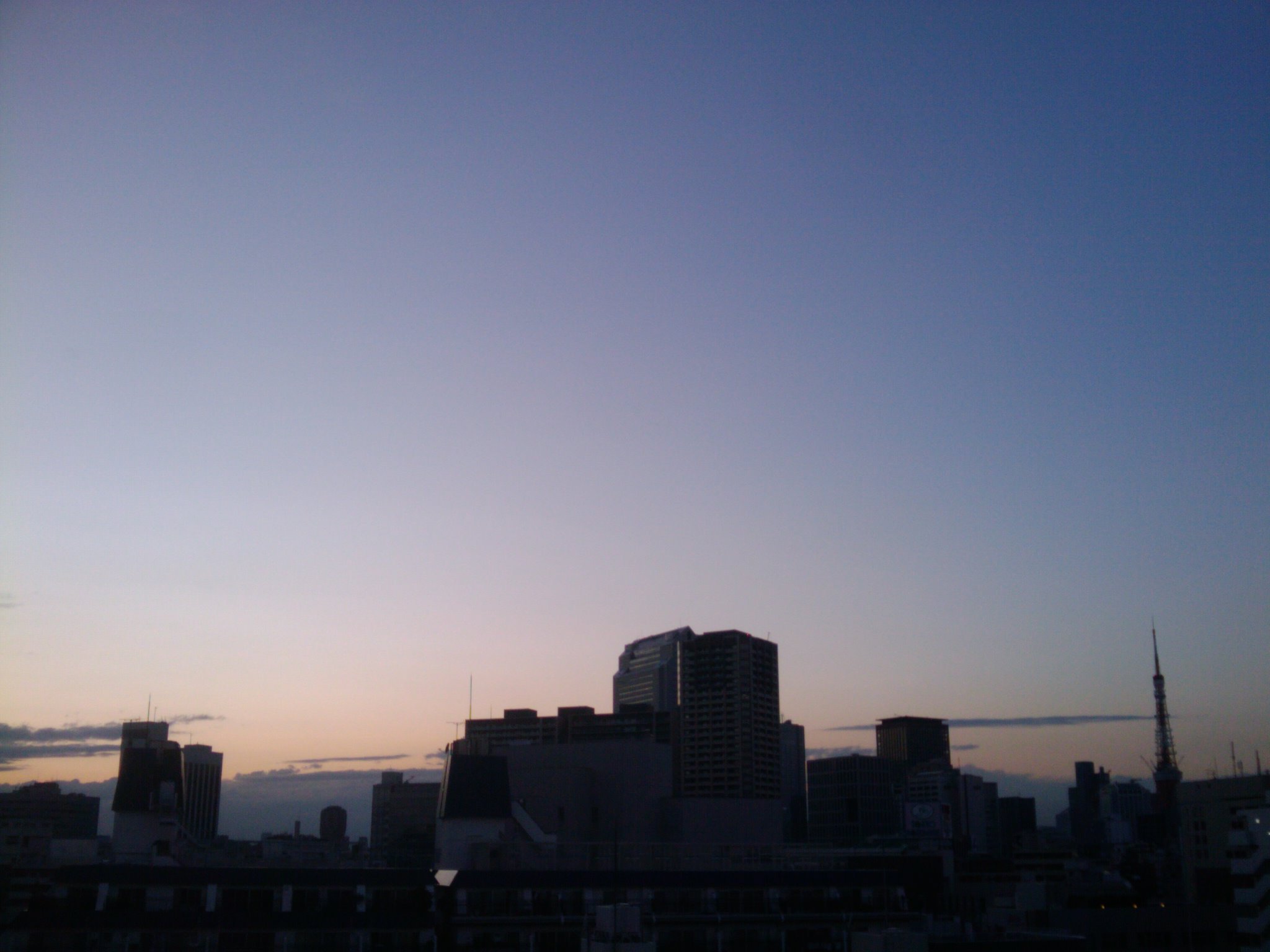 d0119217_039581.jpg