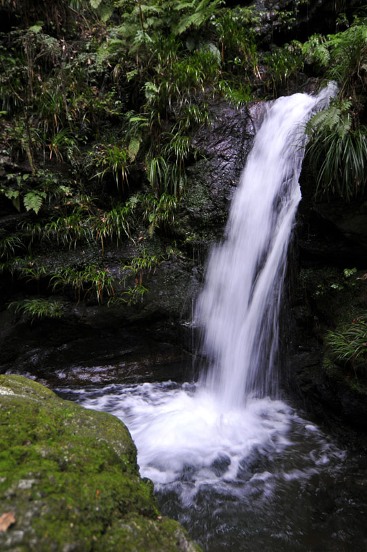 f0206417_19412192.jpg