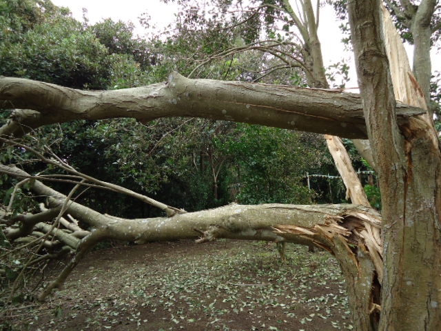 c0150520_23364467.jpg