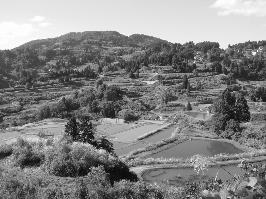 d0151521_2234475.jpg