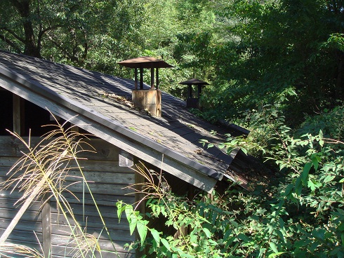 f0000521_5223336.jpg