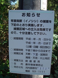 f0000521_5312647.jpg