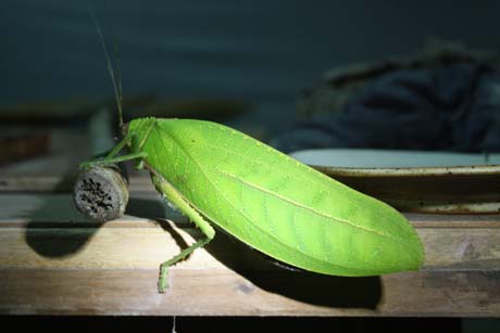 c0132422_0474753.jpg