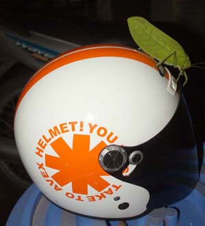 c0132422_111816.jpg