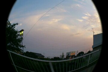 a0237224_803113.jpg