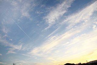 c0130226_2250244.jpg