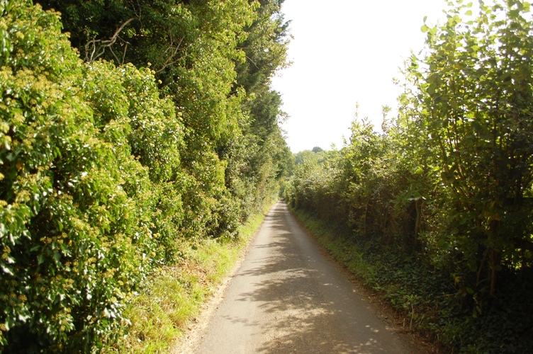 d0104926_0193563.jpg
