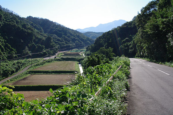f0007926_12231527.jpg