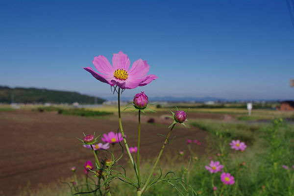 f0007926_1226156.jpg