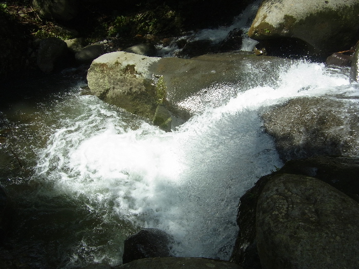 f0103126_20511650.jpg
