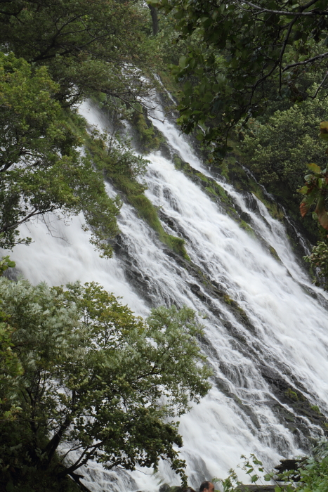 c0215627_6281959.jpg