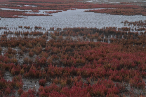 c0215627_640237.jpg