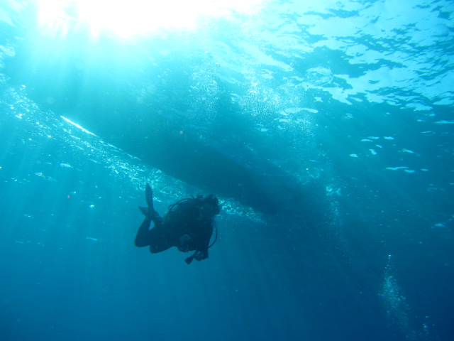 e0002927_9501695.jpg