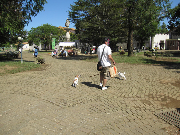b0188228_15311659.jpg