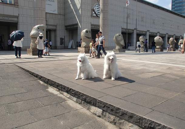 e0196135_17103998.jpg