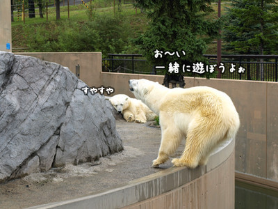 c0148238_12154913.jpg