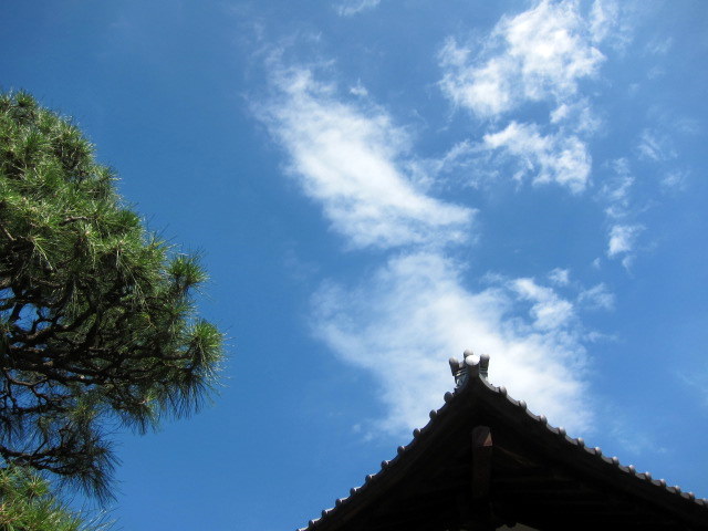 b0178339_6291424.jpg