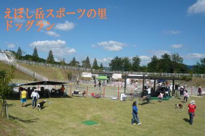 d0013645_131468.jpg