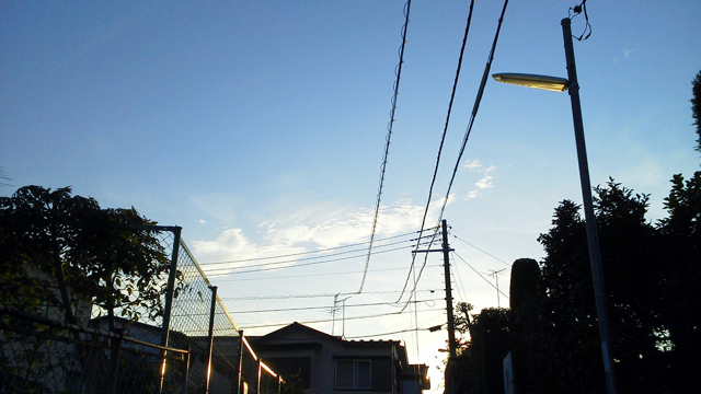 f0179947_334623.jpg
