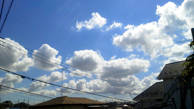 f0179947_34121.jpg