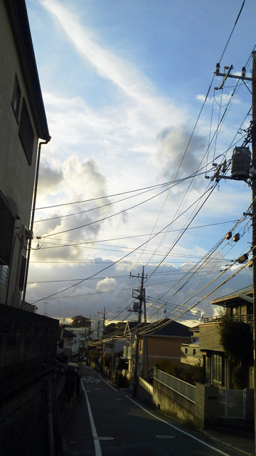f0179947_351730.jpg