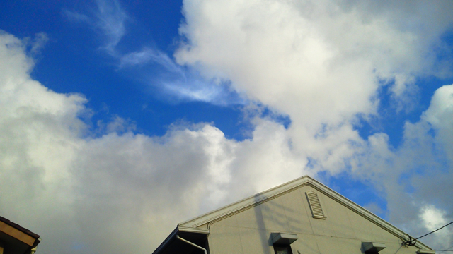 f0179947_355478.jpg
