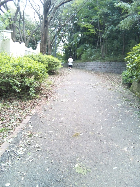 e0121548_2024219.jpg