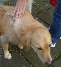 e0121548_20542165.jpg
